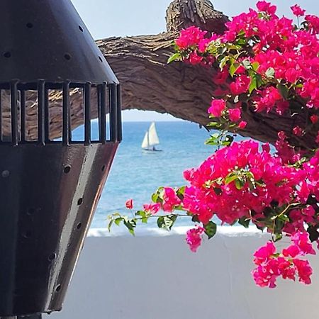 Loro Verde Playa Honda  Dış mekan fotoğraf