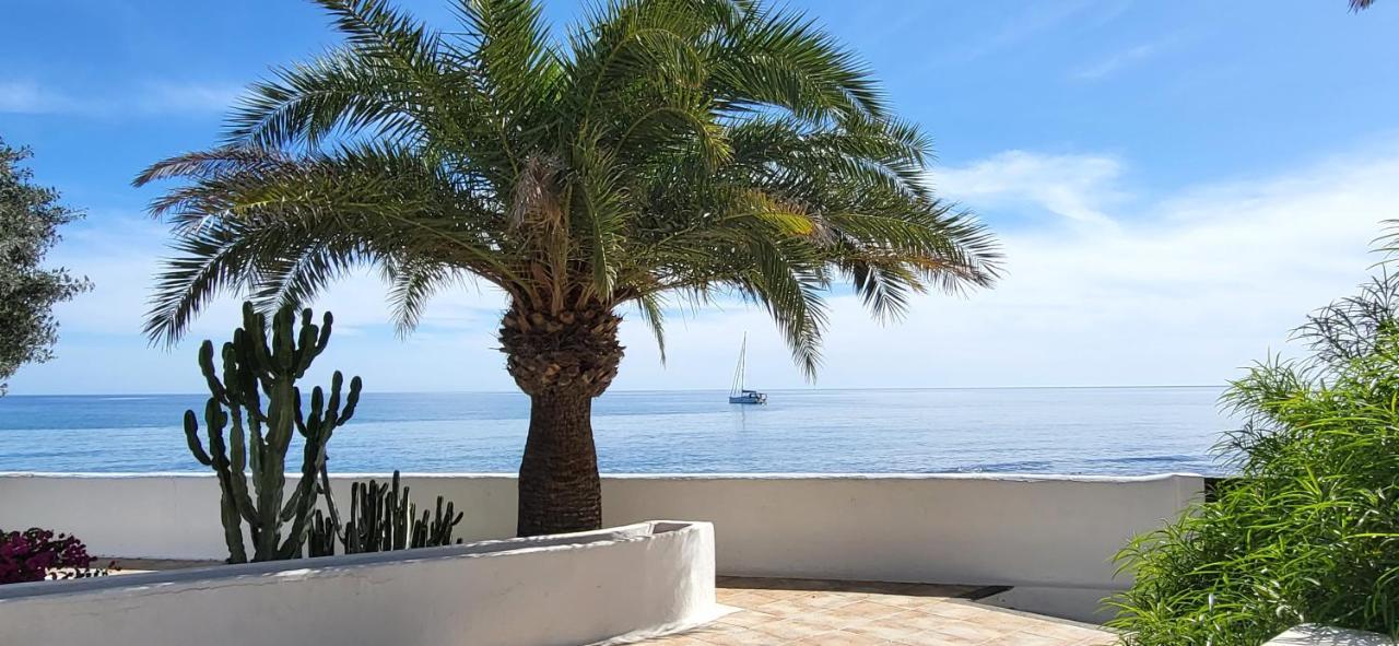 Loro Verde Playa Honda  Dış mekan fotoğraf