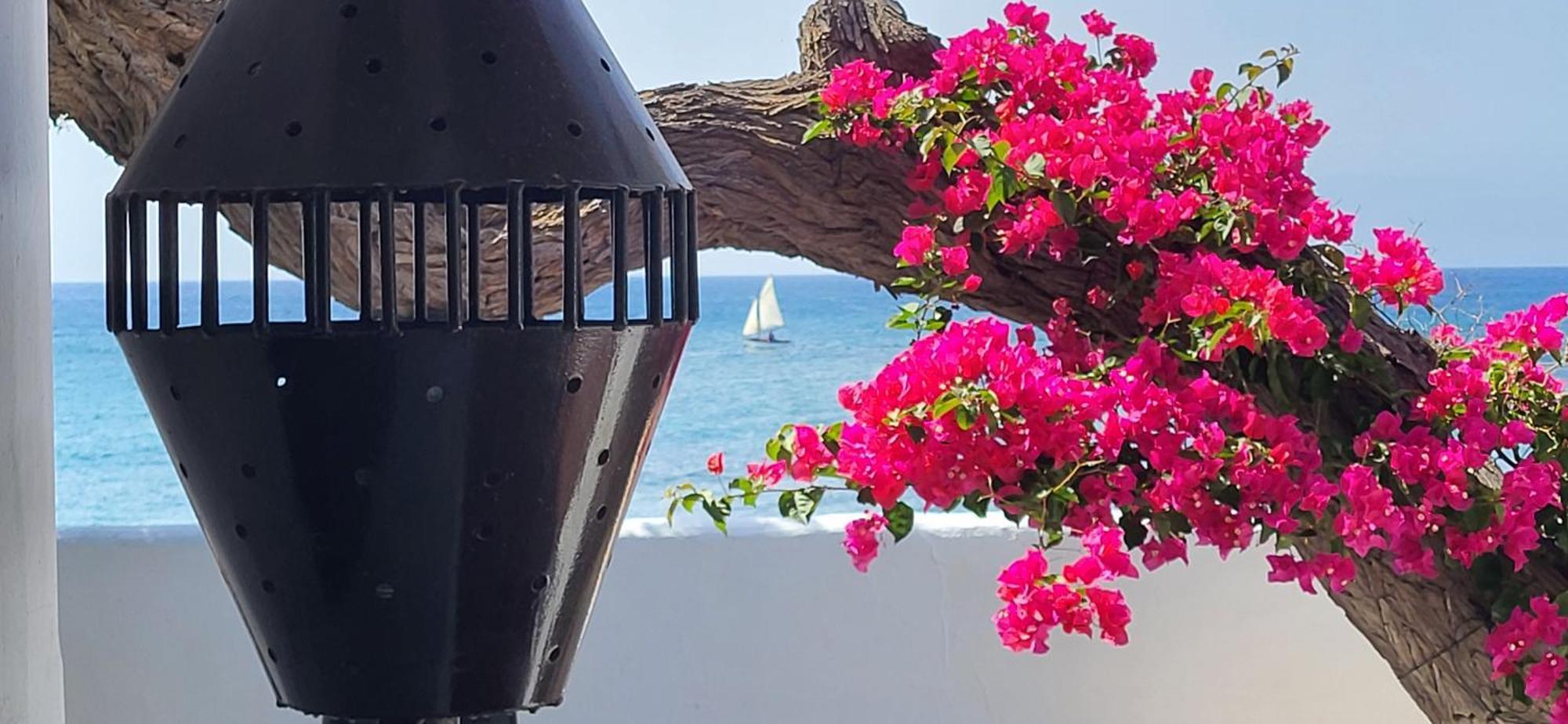 Loro Verde Playa Honda  Dış mekan fotoğraf