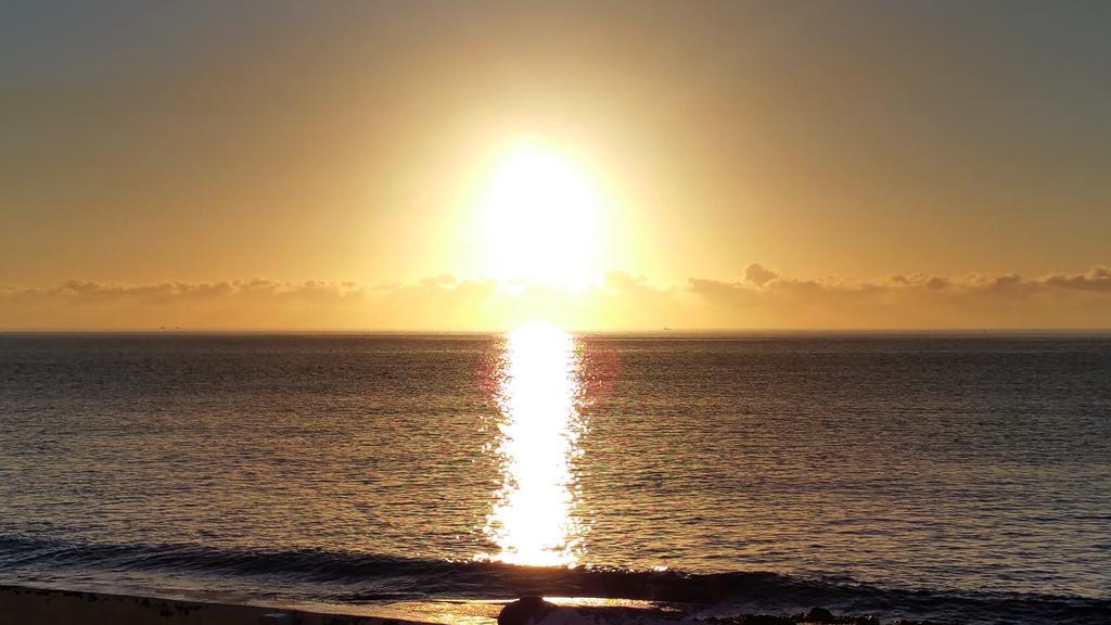 Loro Verde Playa Honda  Dış mekan fotoğraf