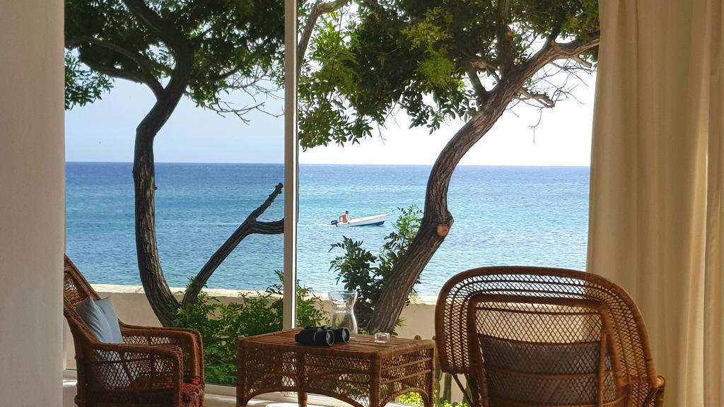 Loro Verde Playa Honda  Dış mekan fotoğraf
