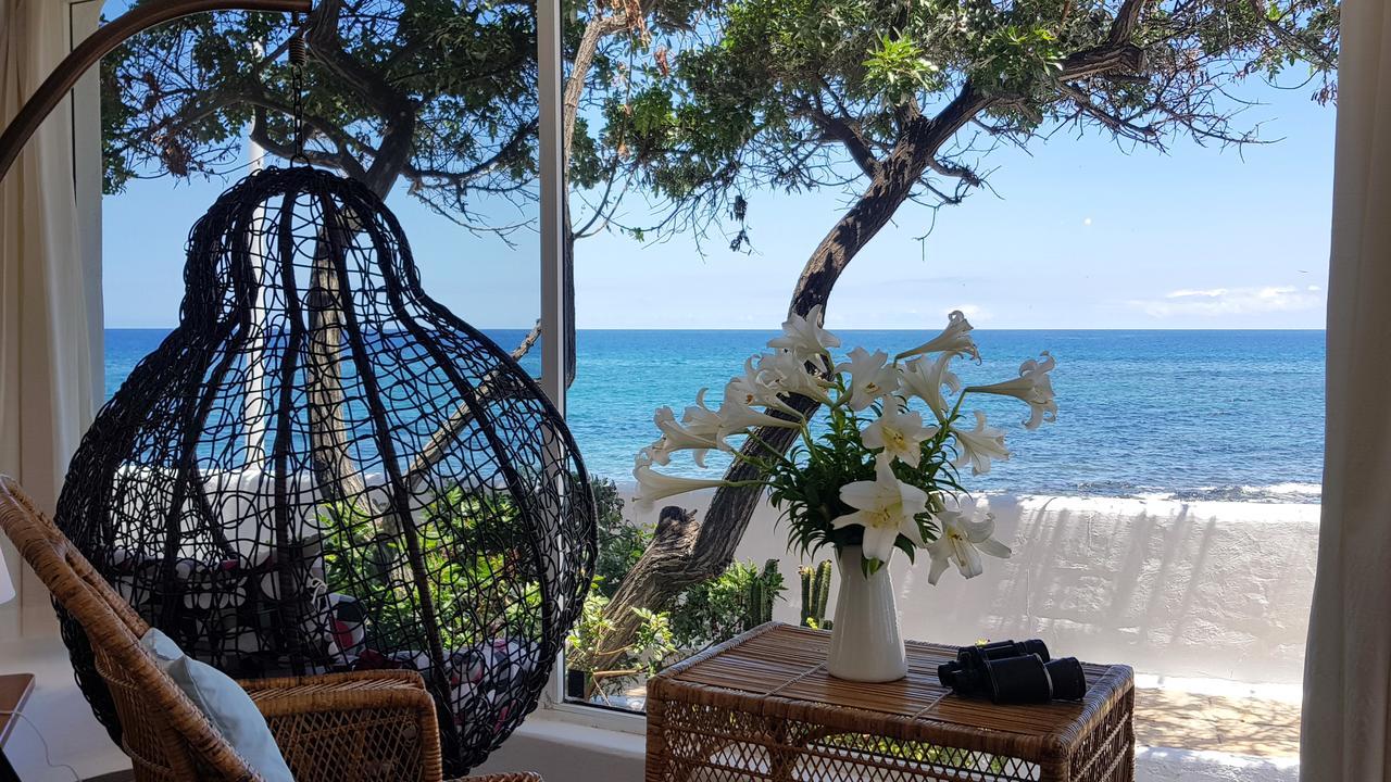 Loro Verde Playa Honda  Dış mekan fotoğraf